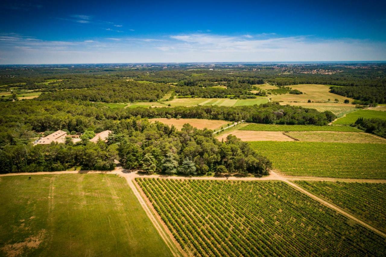 Gite Du Domaine Saint Jean De L'Arbousier Кастрі Екстер'єр фото