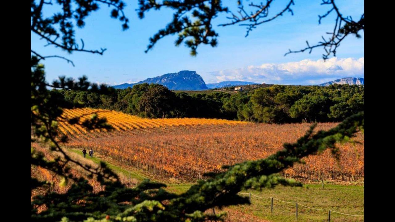 Gite Du Domaine Saint Jean De L'Arbousier Кастрі Екстер'єр фото